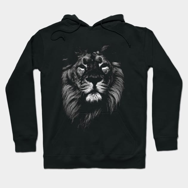 lion, indian lion Hoodie by hottehue